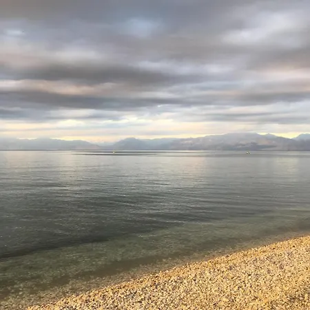 Hyacinthus-cressida Seaside