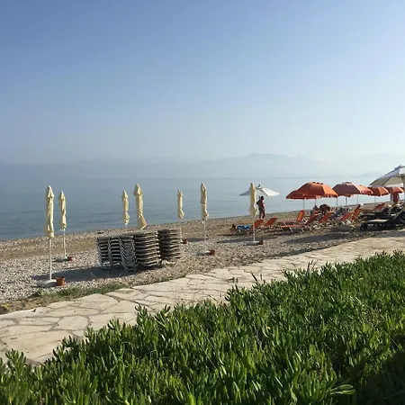 Hyacinthus-cressida Seaside Acharavi (Corfu)